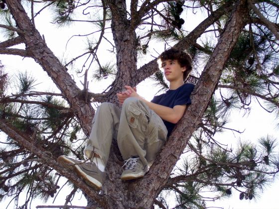 Thinking in the tree
