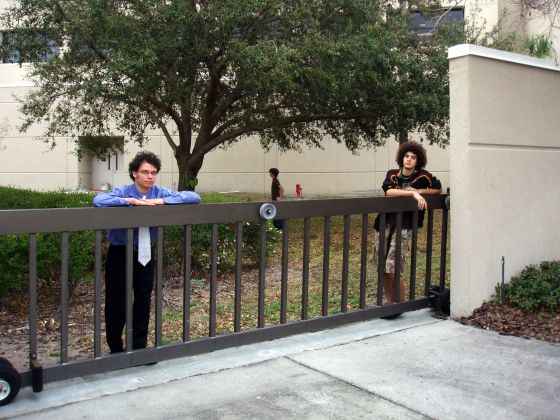 Hanging behind the gate
Stevie and Jayce guard me as I inspect the tree
