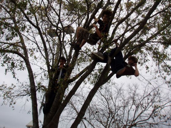 Brothas tree
Jayce, Stevie, and I hanging out above ground, pelting innocents
