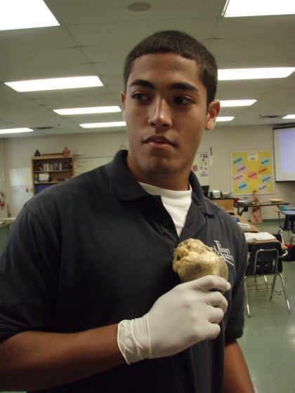 Oscars heart
Oscar holding up the heart we dissected during Anatomy class

