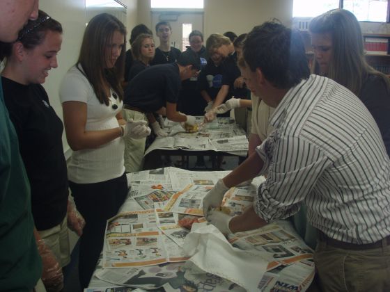 Cornish hen preparation
Mr. Darnell showing the class how to dry out a cornish hen to prepare it for mummification
