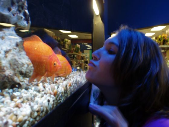 Fish kiss
Brittany at Petland making kiss faces at a fish
