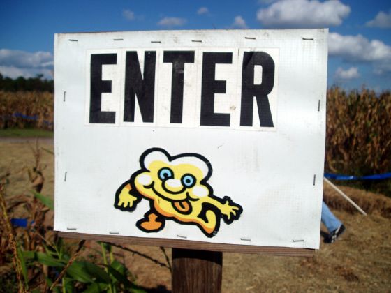 Enter the Corn Maze
