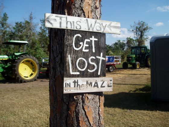 Get Lost in the Maze
