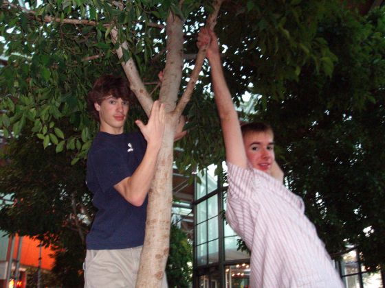 Tree climbers
Daniel and I climbing one of the trees at the Oviedo mall
