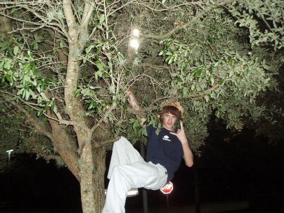 Michael in a tree
Michael hanging in a tree at the Oviedo Mall the night before the beach party
