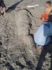 Filename=Me_mermaid.jpg
Filesize=610KiB
Dimensions=1704x2272
Date added=Nov 26, 2006 Me_mermaid.jpg