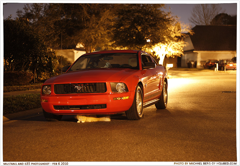 Chris' '08 Ford Mustang
A shot of the neighborhood cat that was playing around under Chris' '08 Ford Mustang
