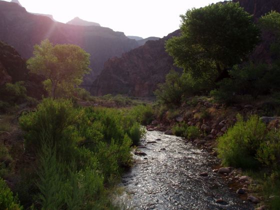 The glistening river
The river at the bottom of the Grand Canyon in the morning when we started our hike back up
