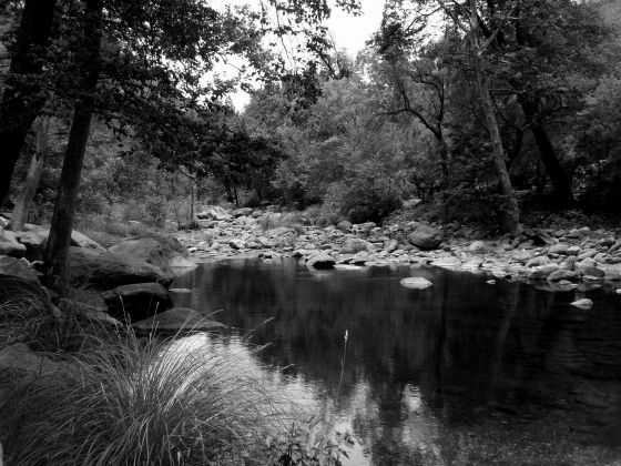 The quiet stream 2
