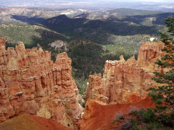 Bryce Canyon hoodoos 4
