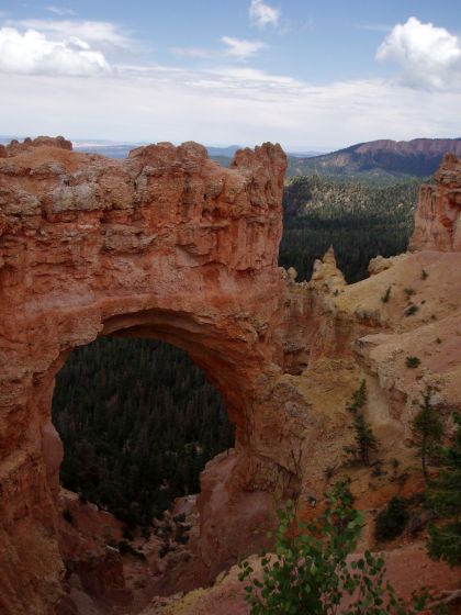 Bryce Canyon arch
