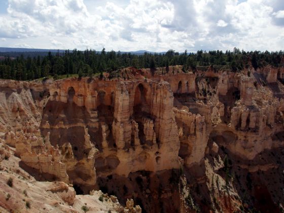 Bryce Canyon hoodoos 5
