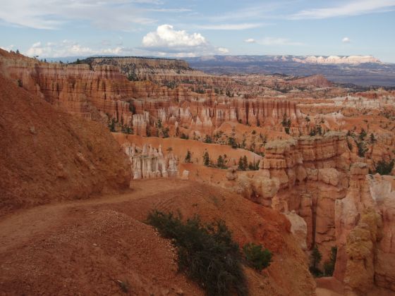 Bryce canyon hoodoos 3
