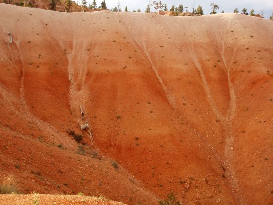 Sand trails
The side of a sand cliff that shows the path that water once took downards
