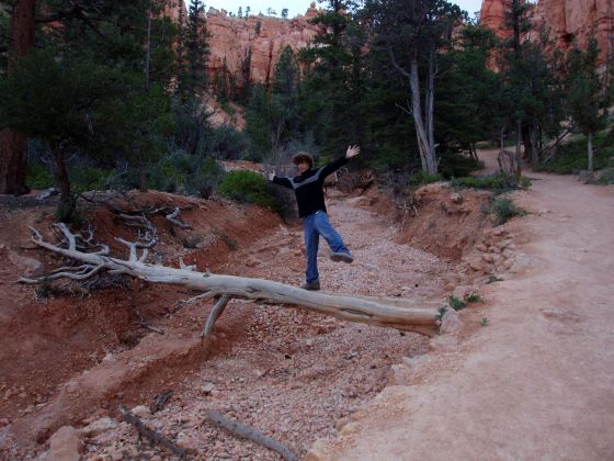 Balancing
Me acting like it was tough to balance on the log-bridge in the middle of a dried up riverbed in Bryce Canyon
