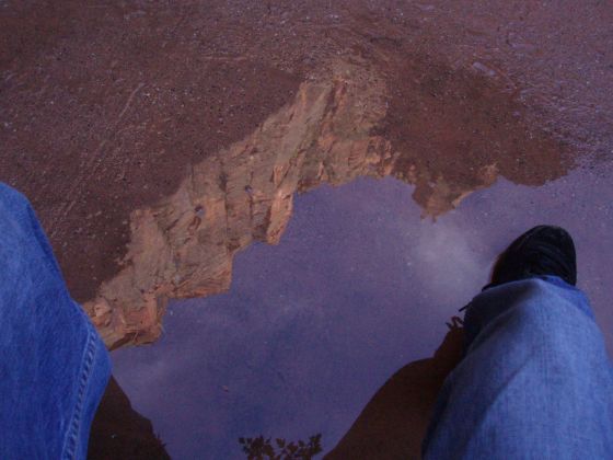 Upside down mountains
Mountains reflected in a Zion canyon puddle
