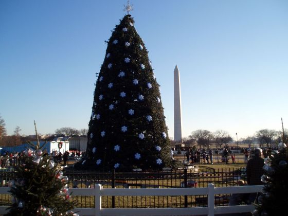Washington DC Christmas tree
