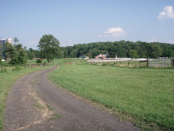 College farm path 2

