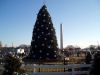 Christmas_tree_in_DC.jpg