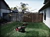 Lawn_mower.jpg