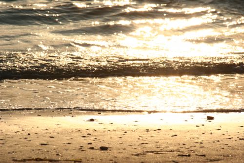 *Along the Shore
Walking along the shore taking pics of the ocean
