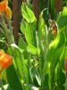 Filename=To_Do_137.jpg
Filesize=1943KB
Dimensions=1944x2592
Date added=May 25, 2006 To_Do_137.jpg