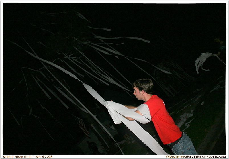 Tug of war 2
Daniel trying to rip the toilet paper out of Kyle's trees
