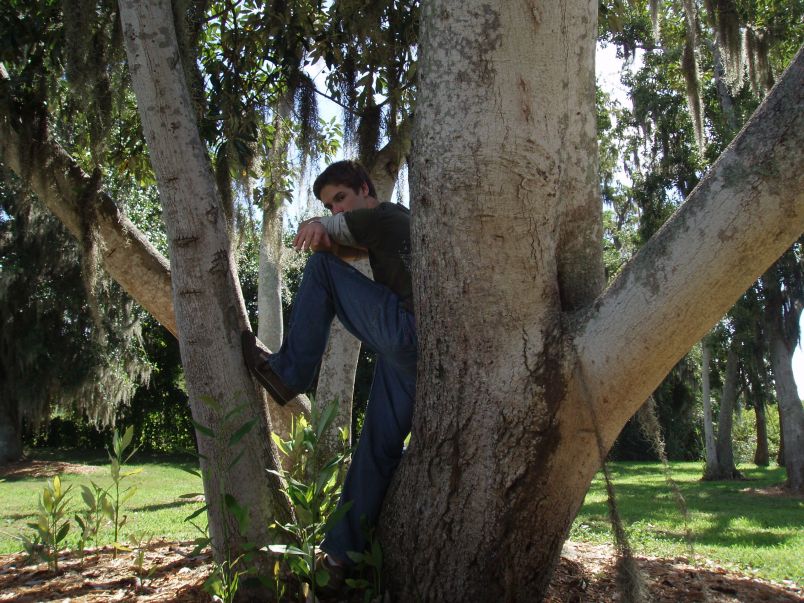 Michael in the tree

