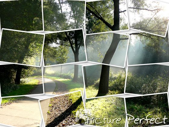 Picture Perfect
A brand new creation of mine, the multi-leved minipics are fun to look at, especially if you know what the big picture already looks like; I like the text effect on this one.

